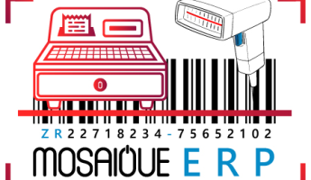 Mosaique ERP